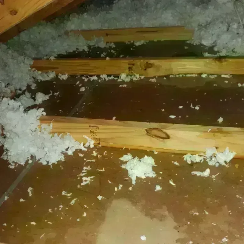 Attic Water Damage in Torrington, WY